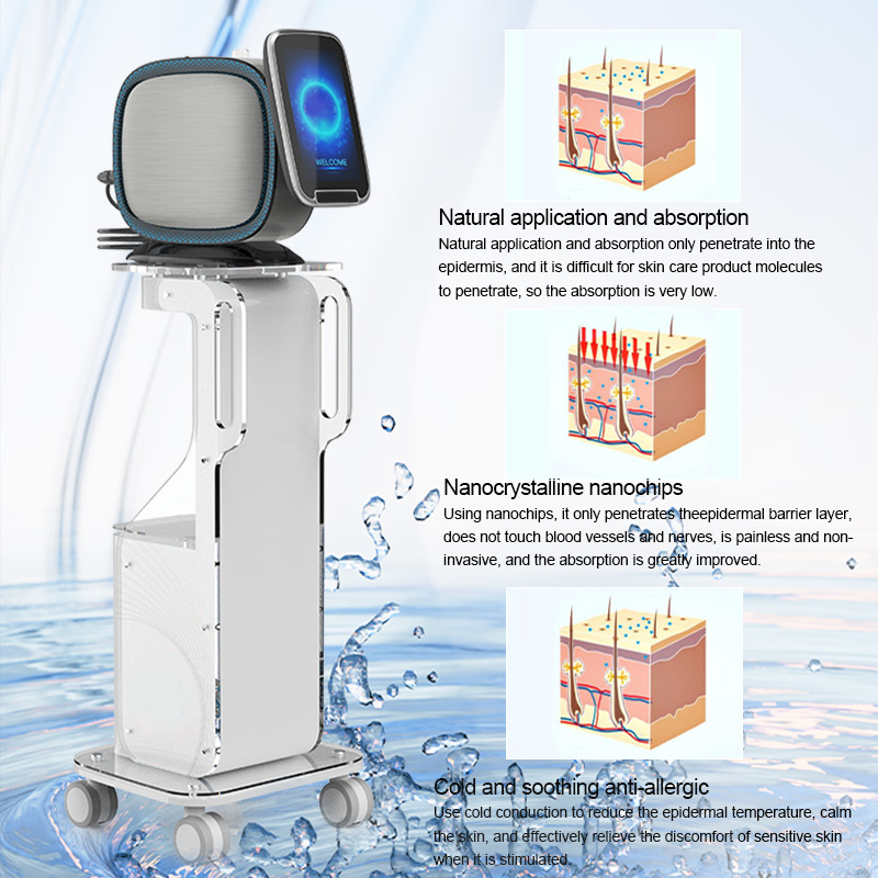 11Professional Nano Mesotherapy Sprayer for Skin Rejuvenation